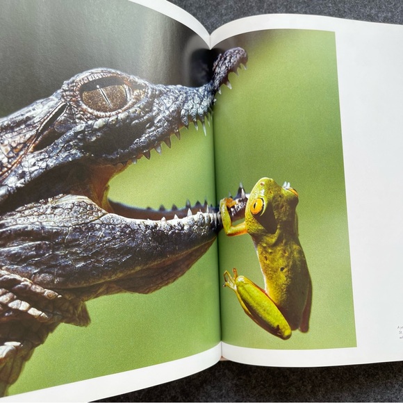 Visions of Earth National Geographic Photographs of Beauty, Majesty, and Wonder - Picture 6 of 15